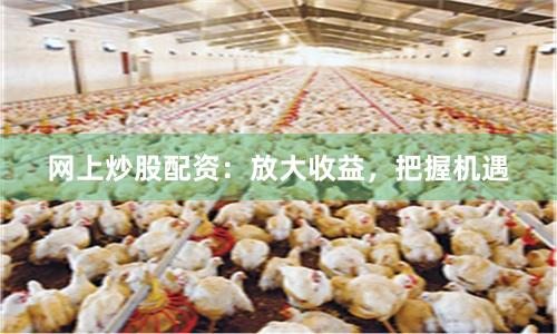 网上炒股配资：放大收益，把握机遇