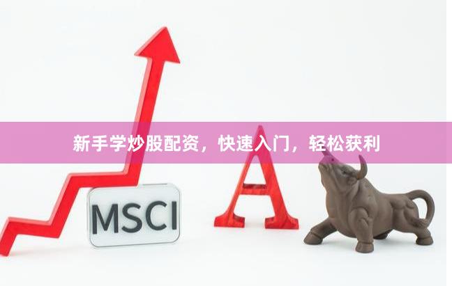 新手学炒股配资，快速入门，轻松获利