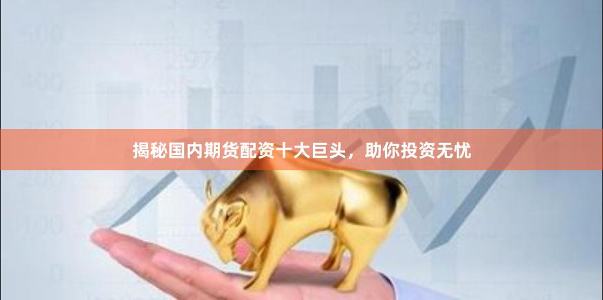 揭秘国内期货配资十大巨头，助你投资无忧