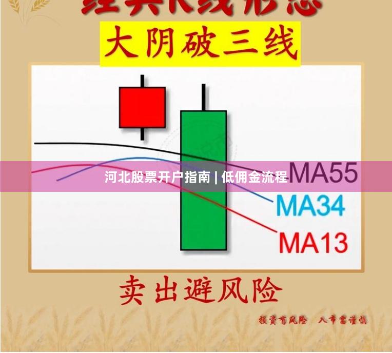 河北股票开户指南 | 低佣金流程